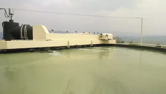 Unità di flottazione ad aria disciolta superficiale superficiale per la rimozione delle alghe