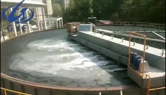 Attrezzatura per il trattamento fluviale Flottazione ad aria disciolta poco profonda per la rimozione delle alghe